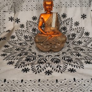 White Kantha Stitch Saree